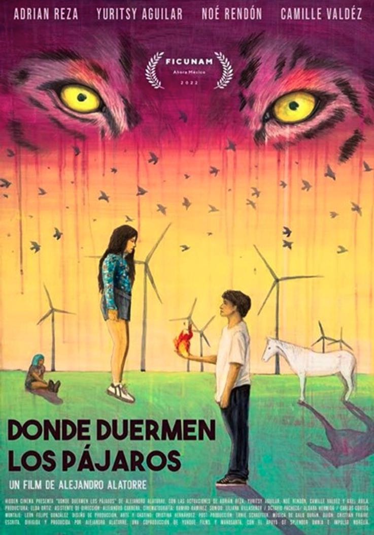 Donde Duermen Los Pájaros